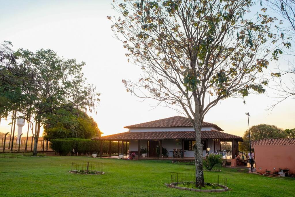 Photo of Others in Barretos
