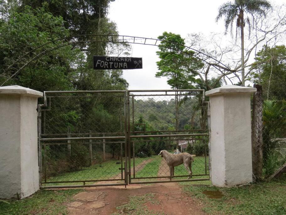 Photo of Others in Ibiuna