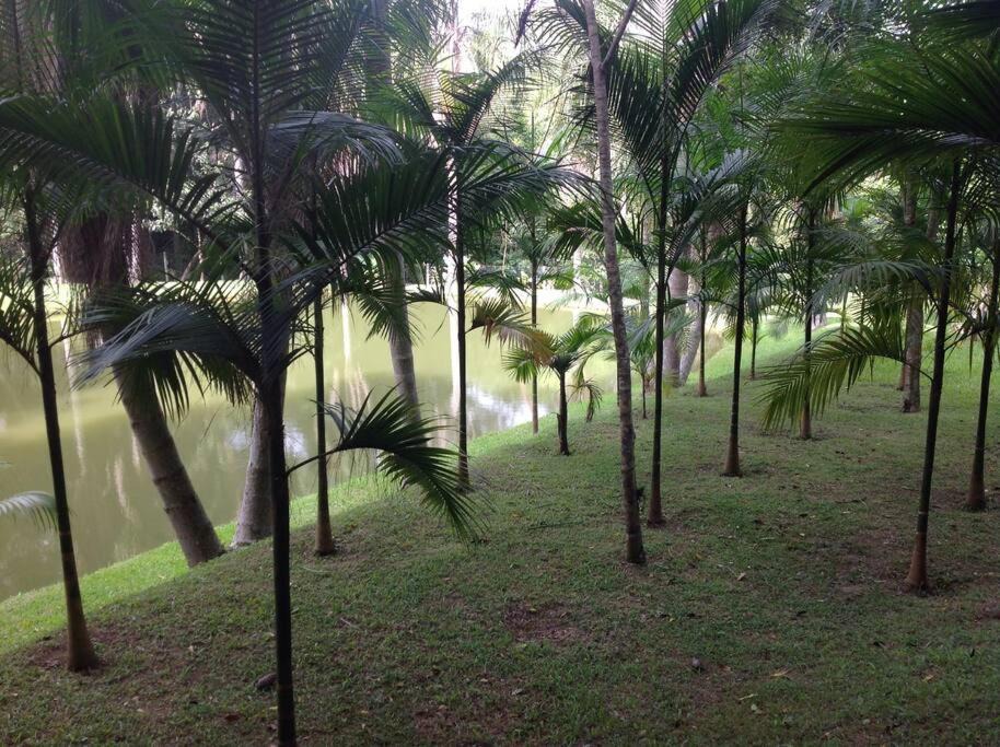 Photo of Others in Ibiuna