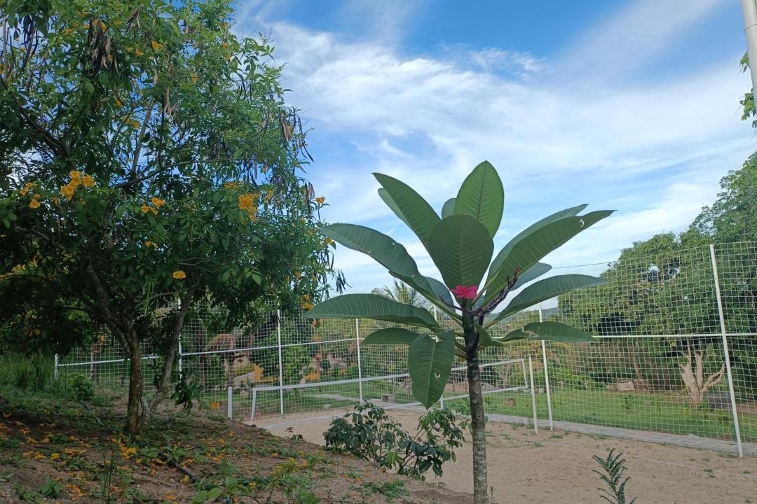 Photo of Others in Lagoa Seca