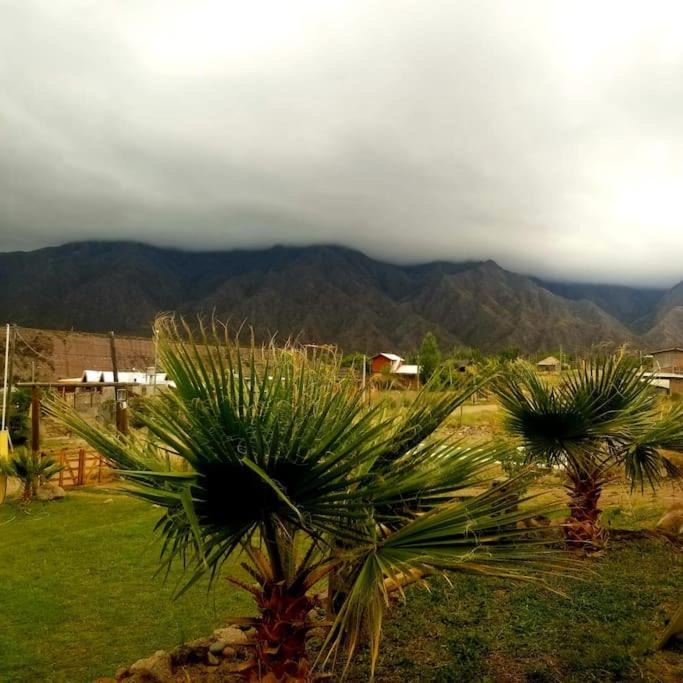 Photo of Others in Cacheuta