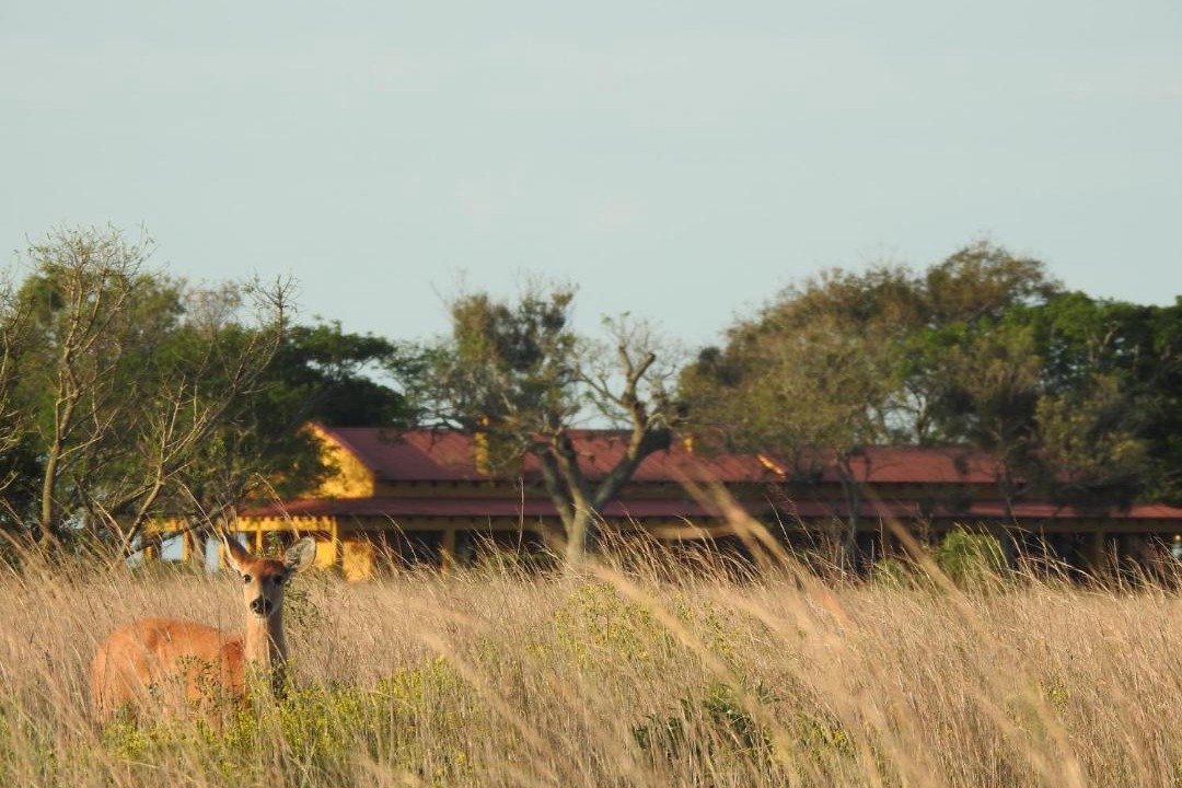 Photo of Others in Concepcion