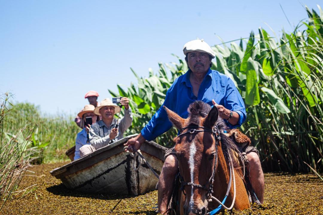 Photo of Others in Concepcion
