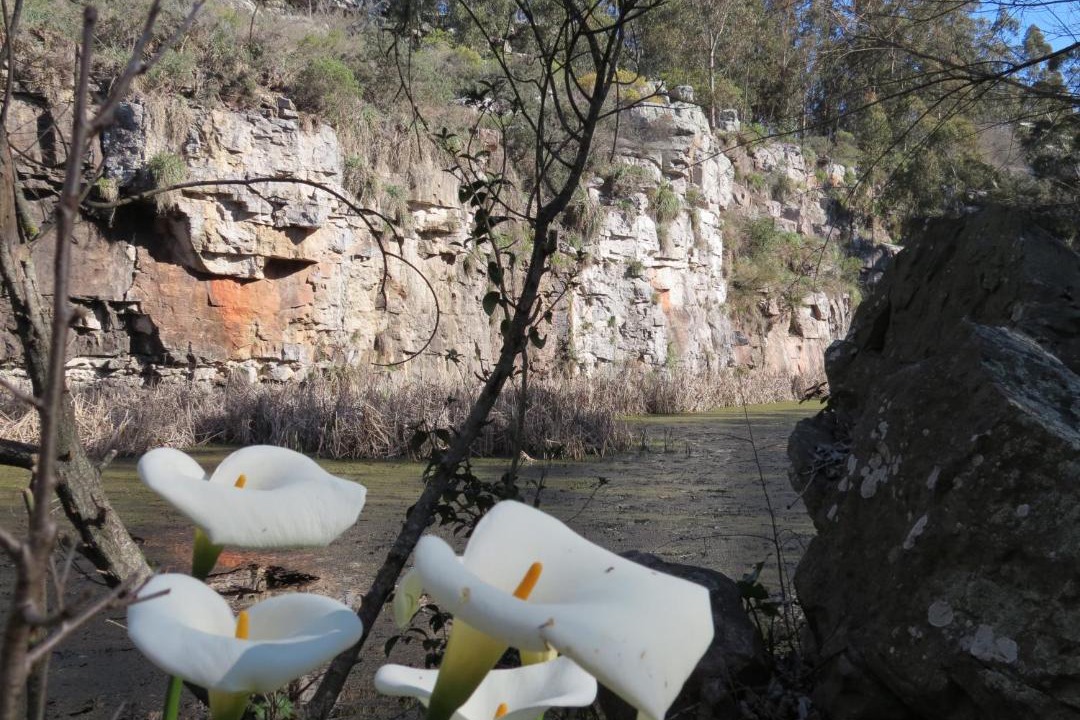 Photo of Others in Sierra de los Padres