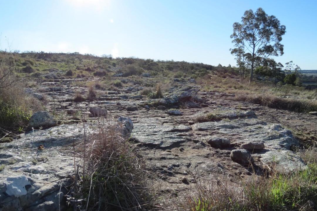 Photo of Others in Sierra de los Padres