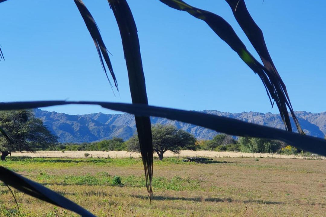 Photo of Others in Chacabuco Department