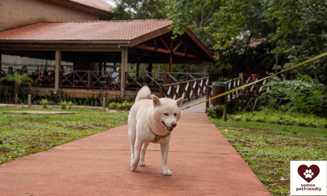 Photo of Others in Puerto Iguazu