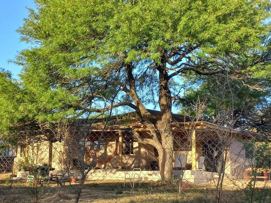 Photo of Others in Villa Los Aromos