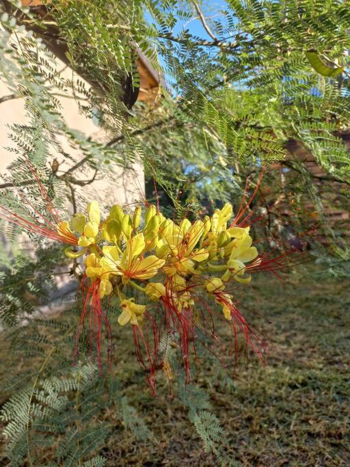 Photo of Others in Villa Los Aromos