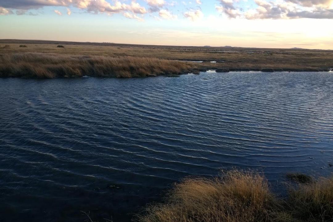 Photo of Others in Rio Gallegos