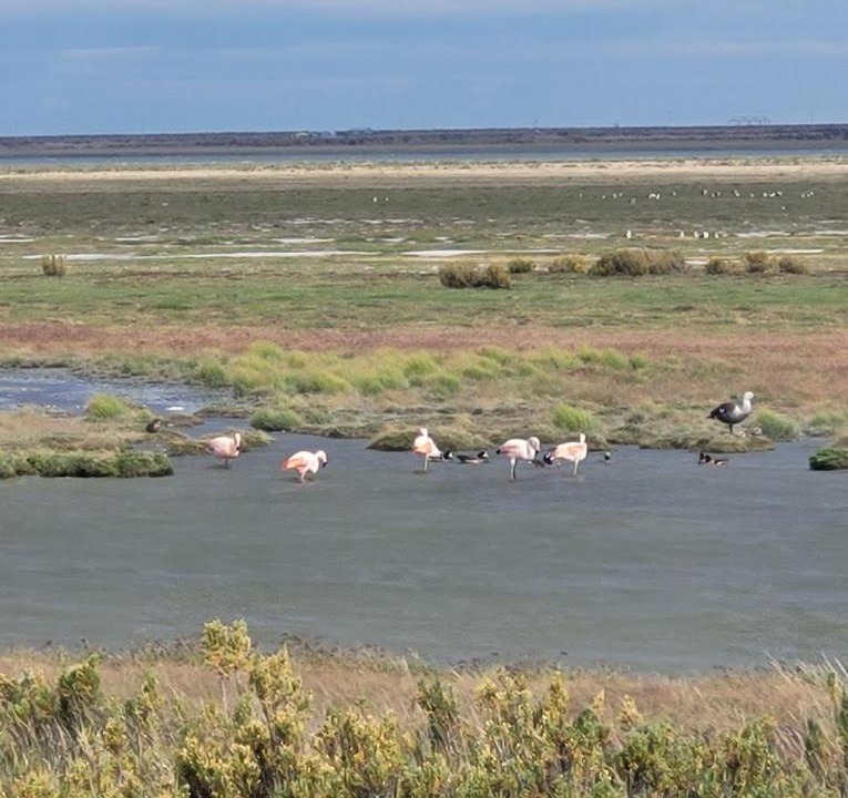 Photo of Others in Rio Gallegos