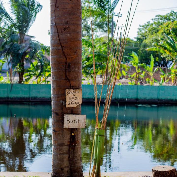 Photo of Others in Barreirinhas