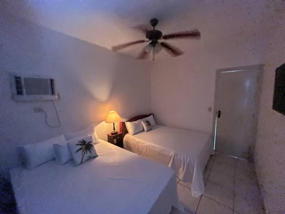 Photo of Bedroom in Guilhermina