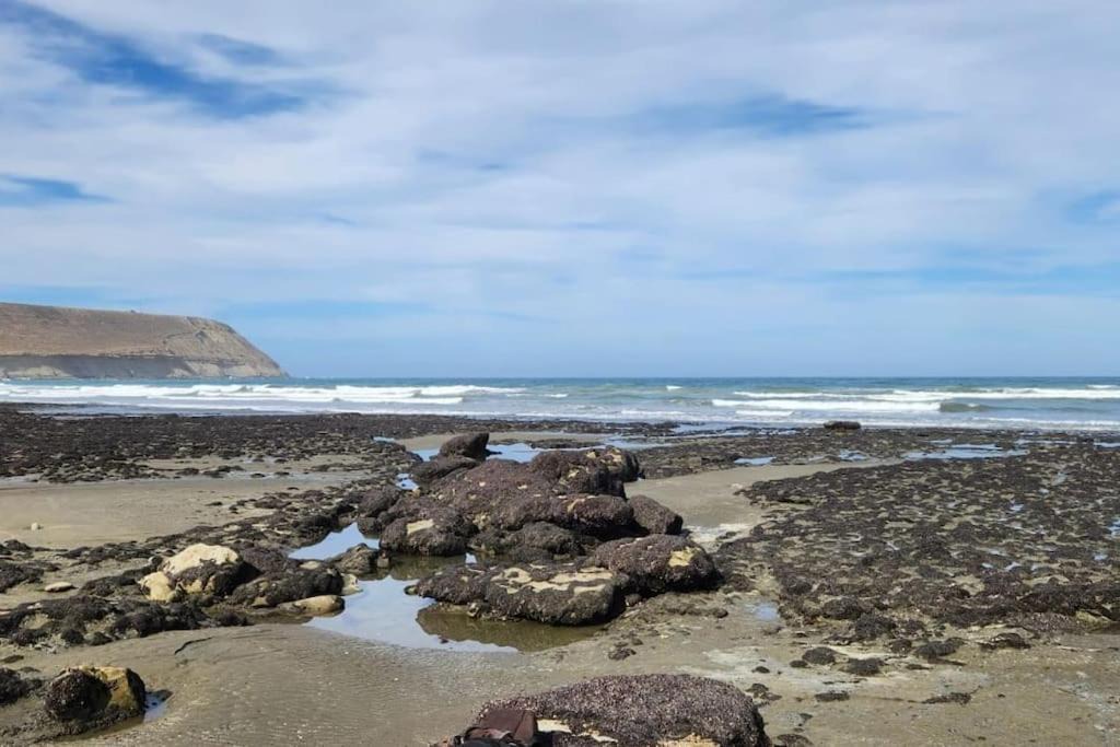Photo of Others in Rada Tilly