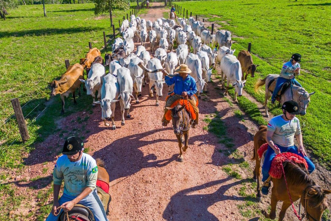 Photo of Others in Visconde de Taunay