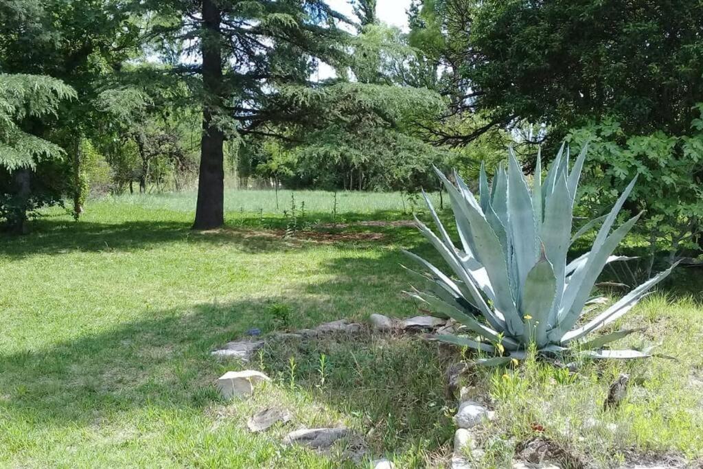 Photo of Others in San Francisco del Monte de Oro