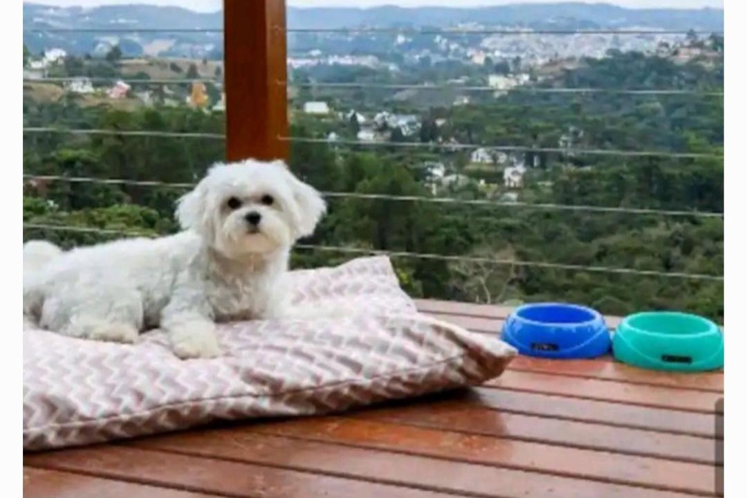 Photo of Others in Campos do Jordao