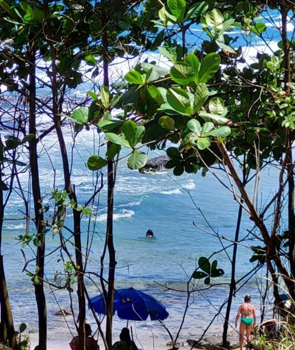 Photo of Others in Pontal