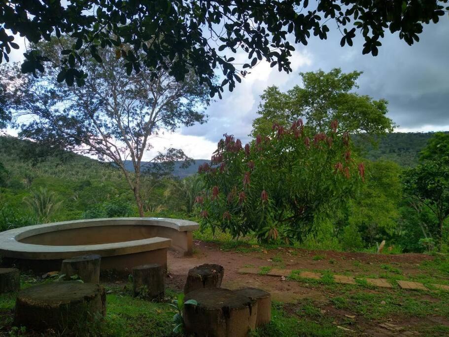 Photo of Others in Jacobina