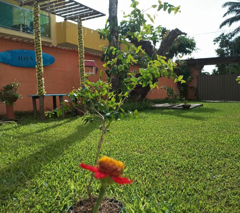 Photo of Others in Aritagua