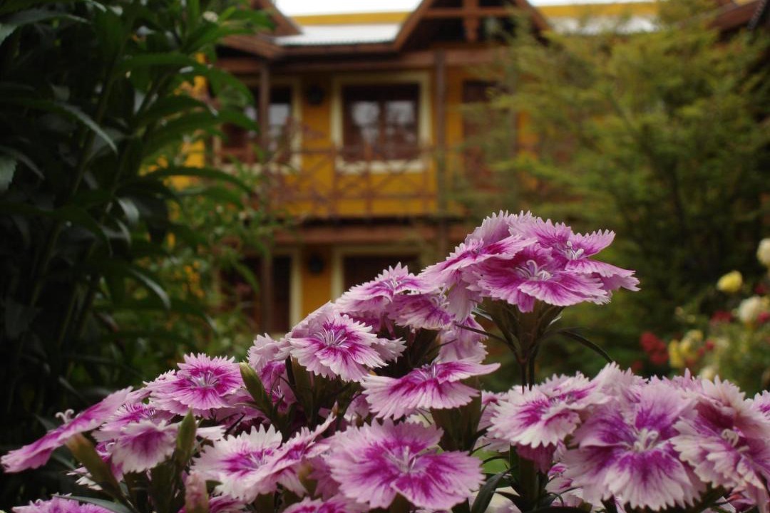 Photo of Others in El Calafate