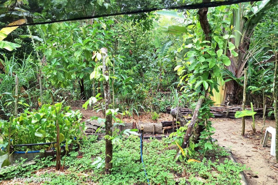 Photo of Others in Trancoso