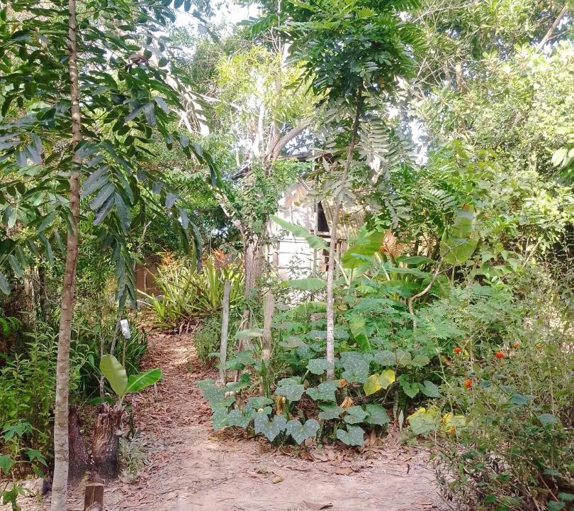 Photo of Others in Trancoso