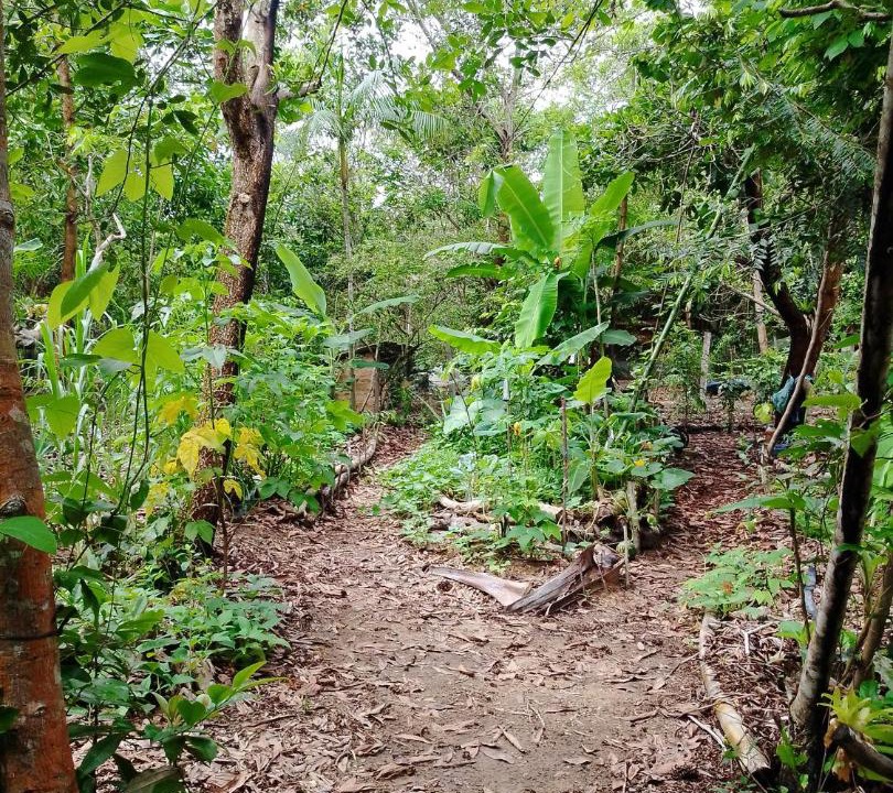 Photo of Others in Trancoso