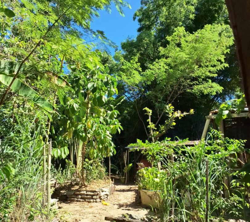 Photo of Others in Trancoso