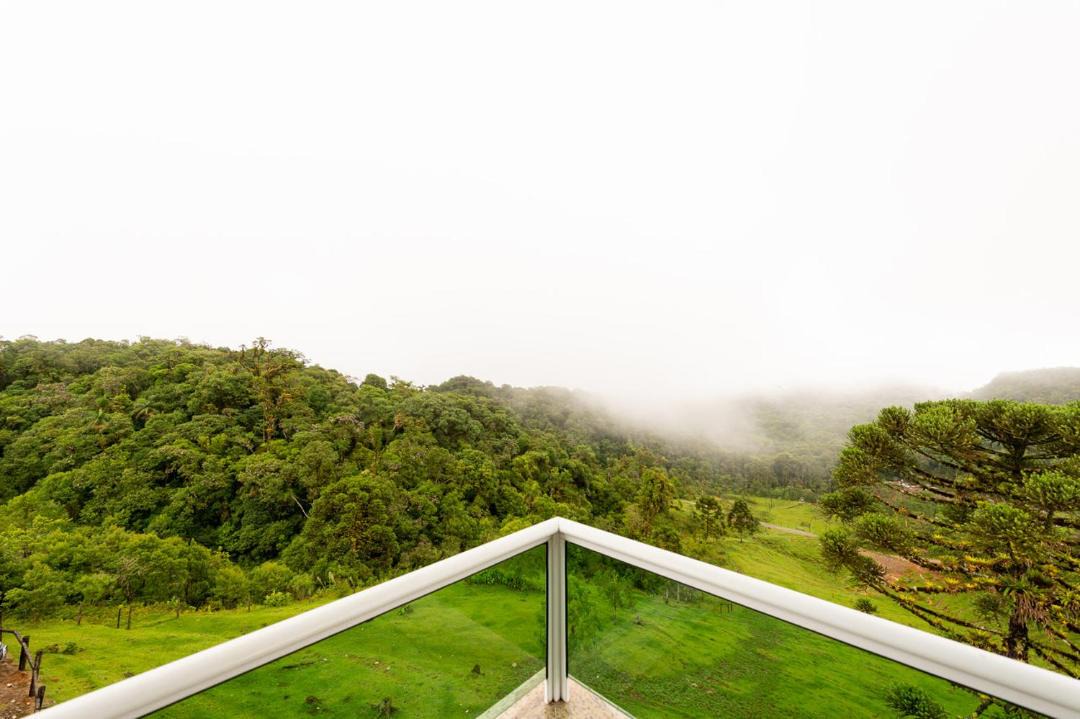 Photo of Others in Joinville