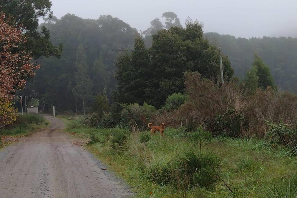 Photo of Outdoor in Tandil