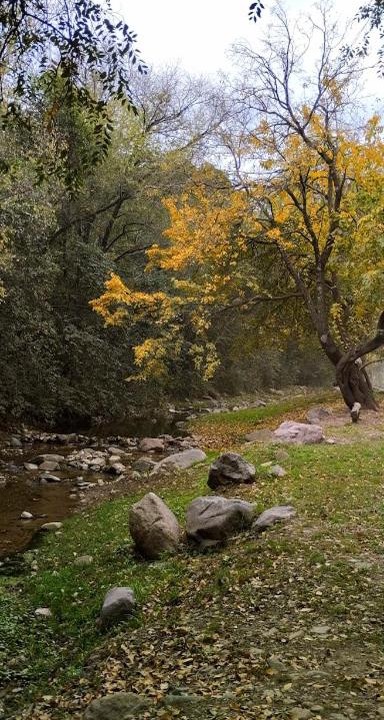 Photo of Outdoor in Rio Ceballos