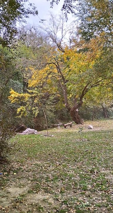 Photo of Outdoor in Rio Ceballos