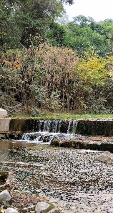 Photo of Others in Rio Ceballos