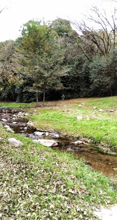 Photo of Others in Rio Ceballos