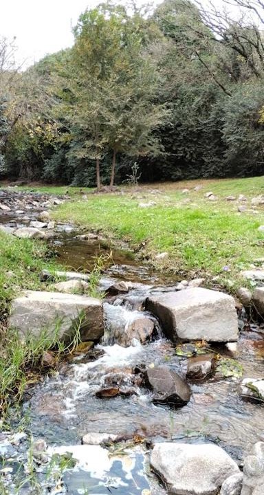 Photo of Others in Rio Ceballos