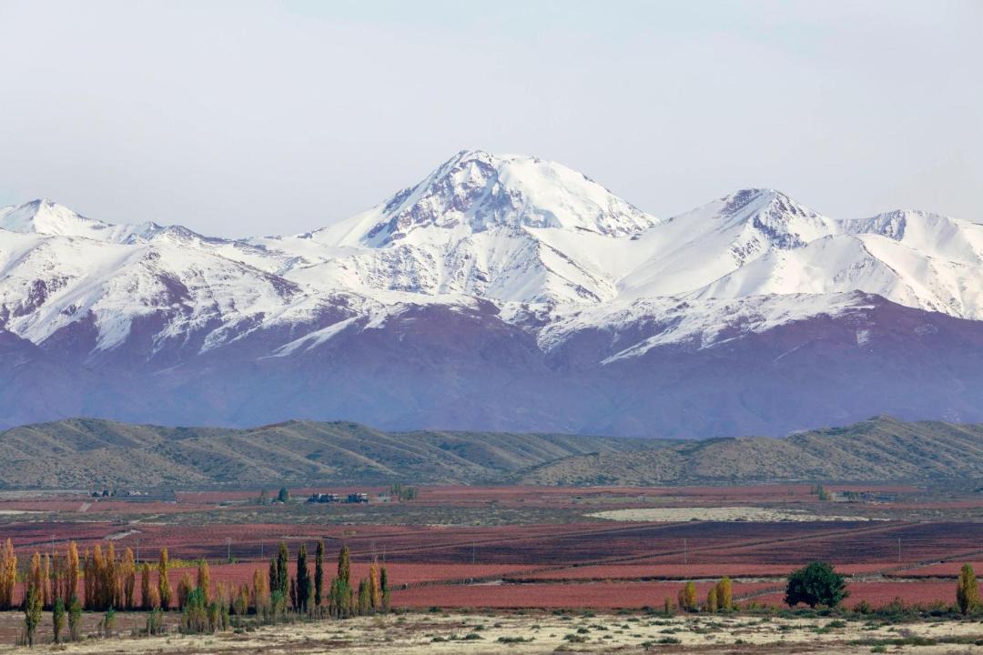 Photo of Others in Tupungato