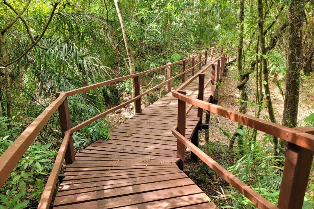Photo of Others in Bonito