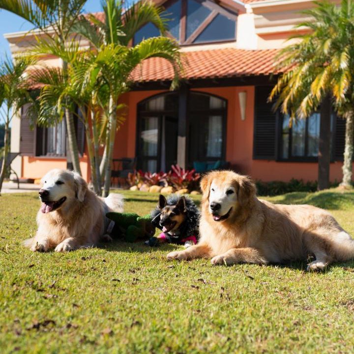 Photo of Others in Sao Roque