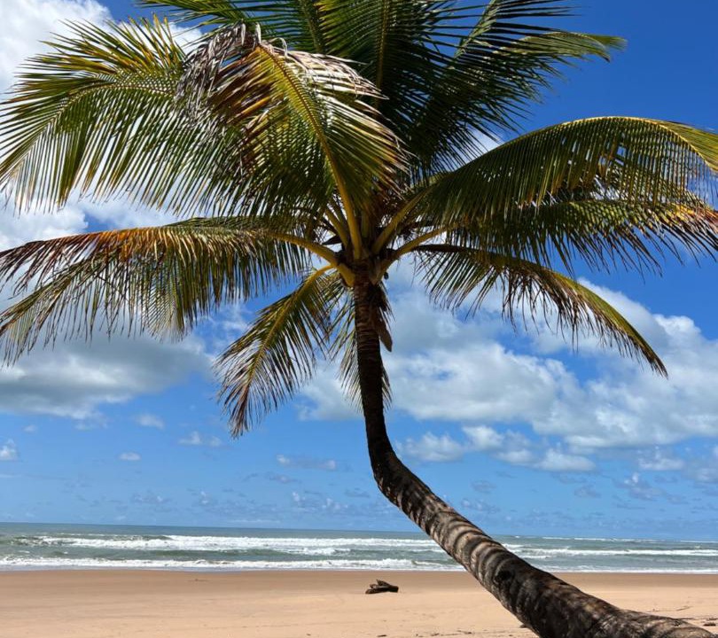 Photo of Others in Barra Grande