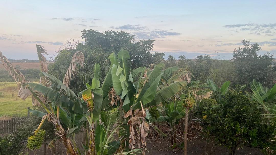 Photo of Outdoor in Riacho Fundo