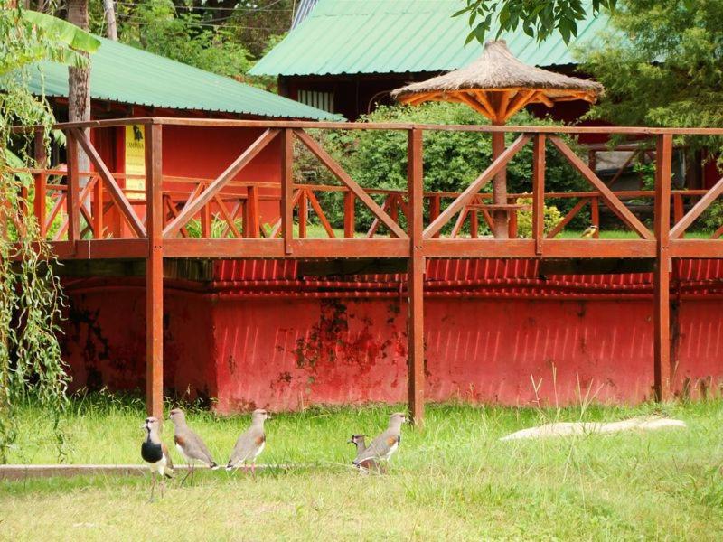 Photo of Others in Cuadro Nacional