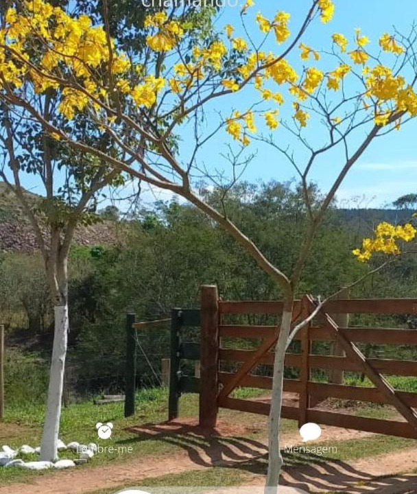 Photo of Outdoor in Sarutaia
