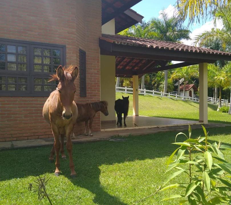Photo of Others in Sorocaba