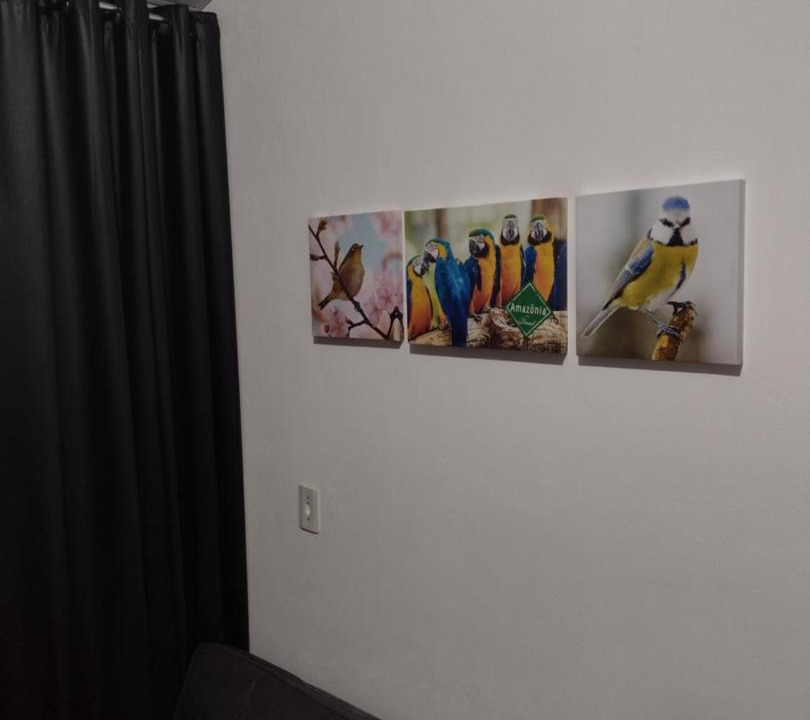 Photo of Others in Ubatuba