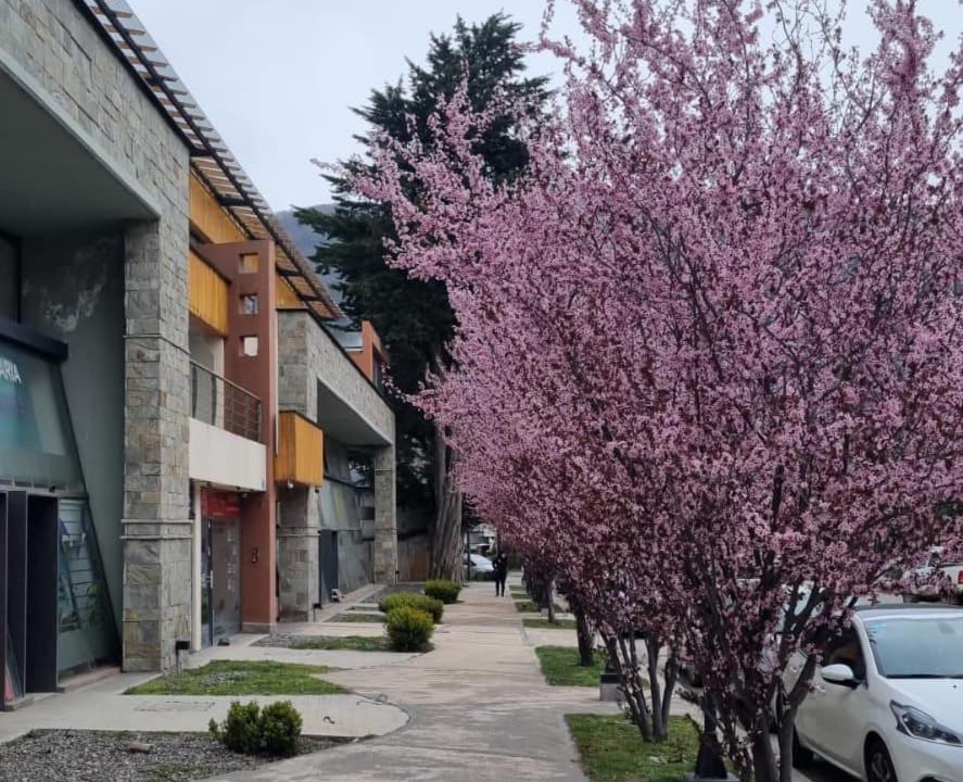 Photo of Others in San Martin de los Andes