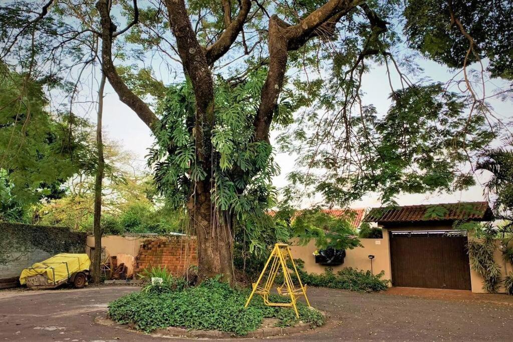 Photo of Buildings in Maringa