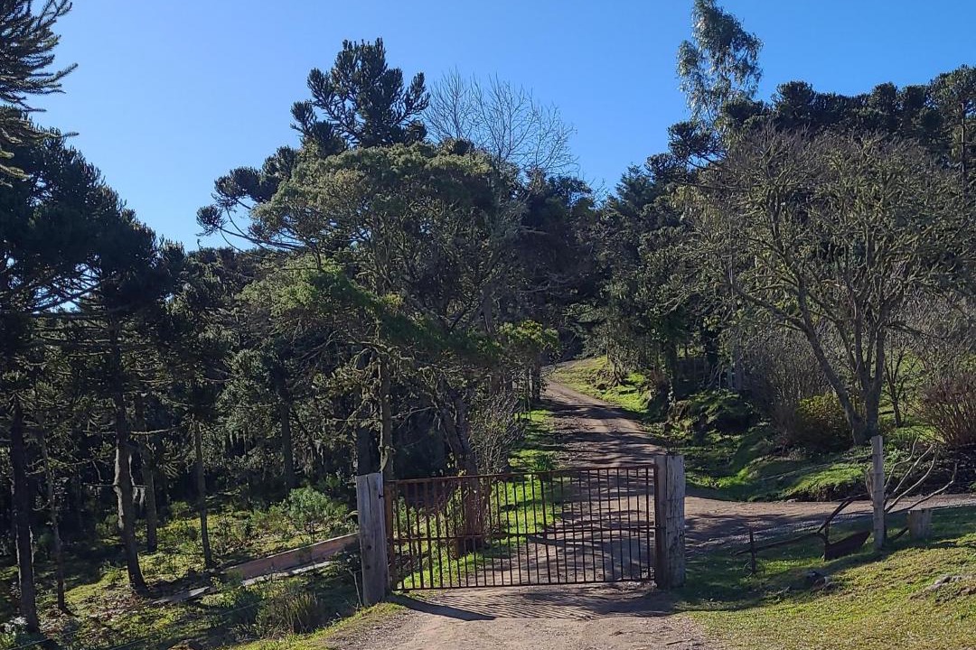 Photo of Others in Bom Jardim da Serra