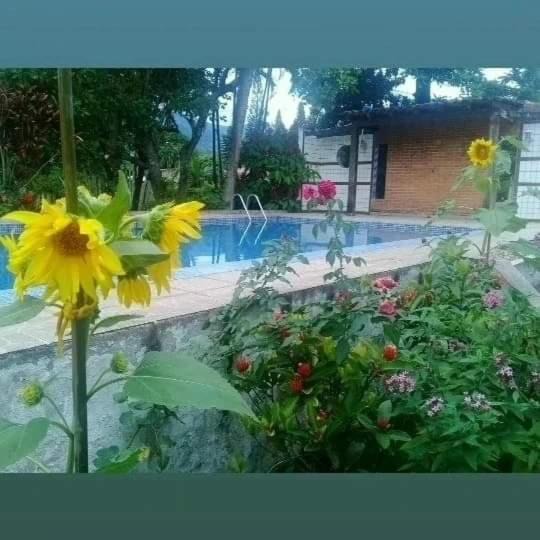 Photo of Outdoor in Pedro de Toledo
