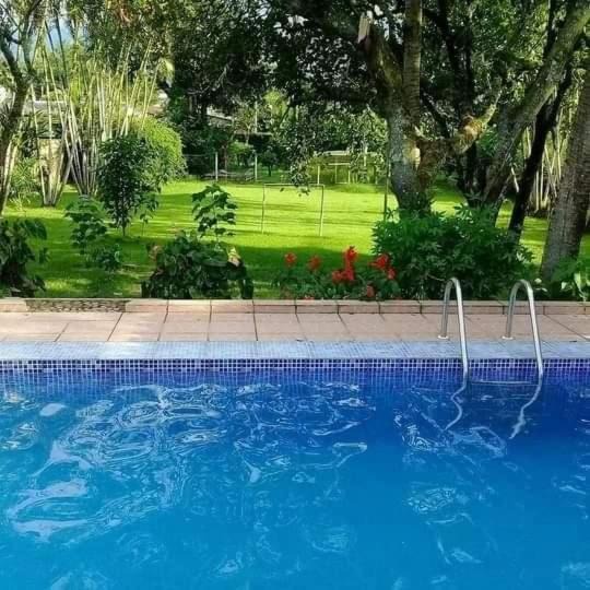 Photo of Outdoor in Pedro de Toledo